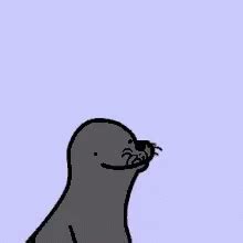 Homophobic Seal .